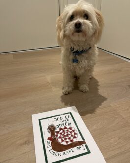 Jeg er ikke doven, jeg lader bare op